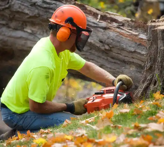 tree services Middle Island